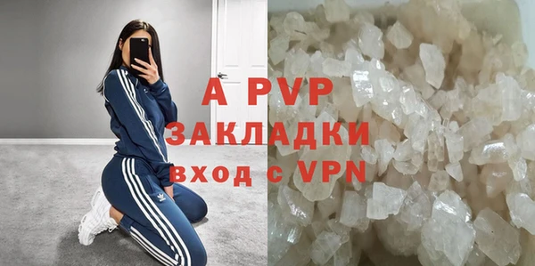 сатива Алзамай