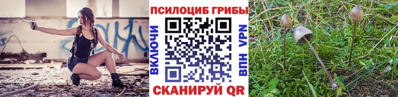 Псилоцибиновые грибы Magic Shrooms  Купить  Кукмор 